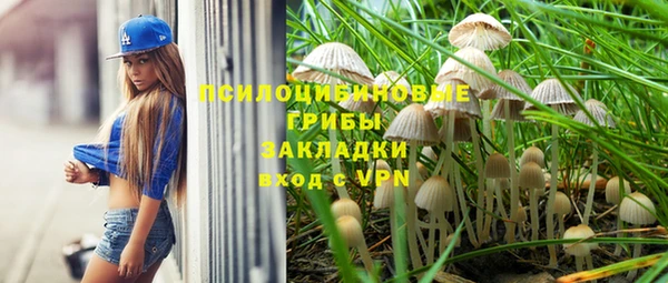бошки Каменногорск