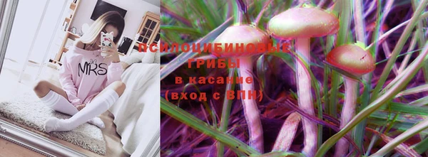 бошки Каменногорск