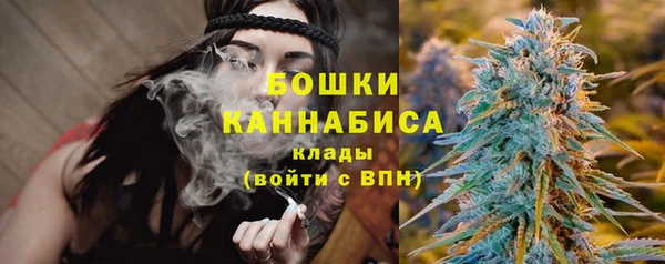 гидра Каменск-Шахтинский