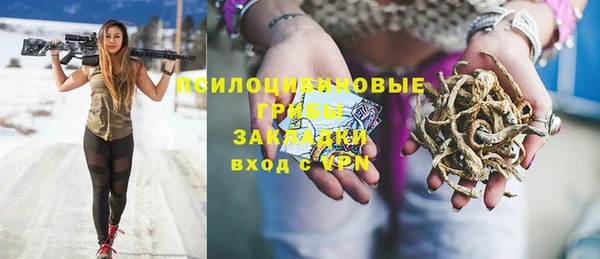 гидра Каменск-Шахтинский