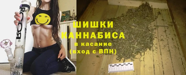 бошки Каменногорск