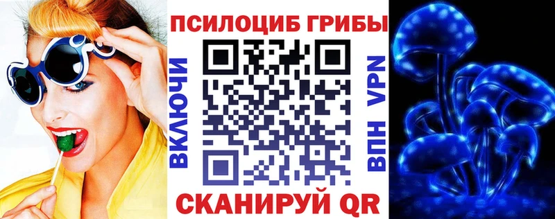 Купить закладки  Муравленко  Псилоцибиновые грибы Cubensis 